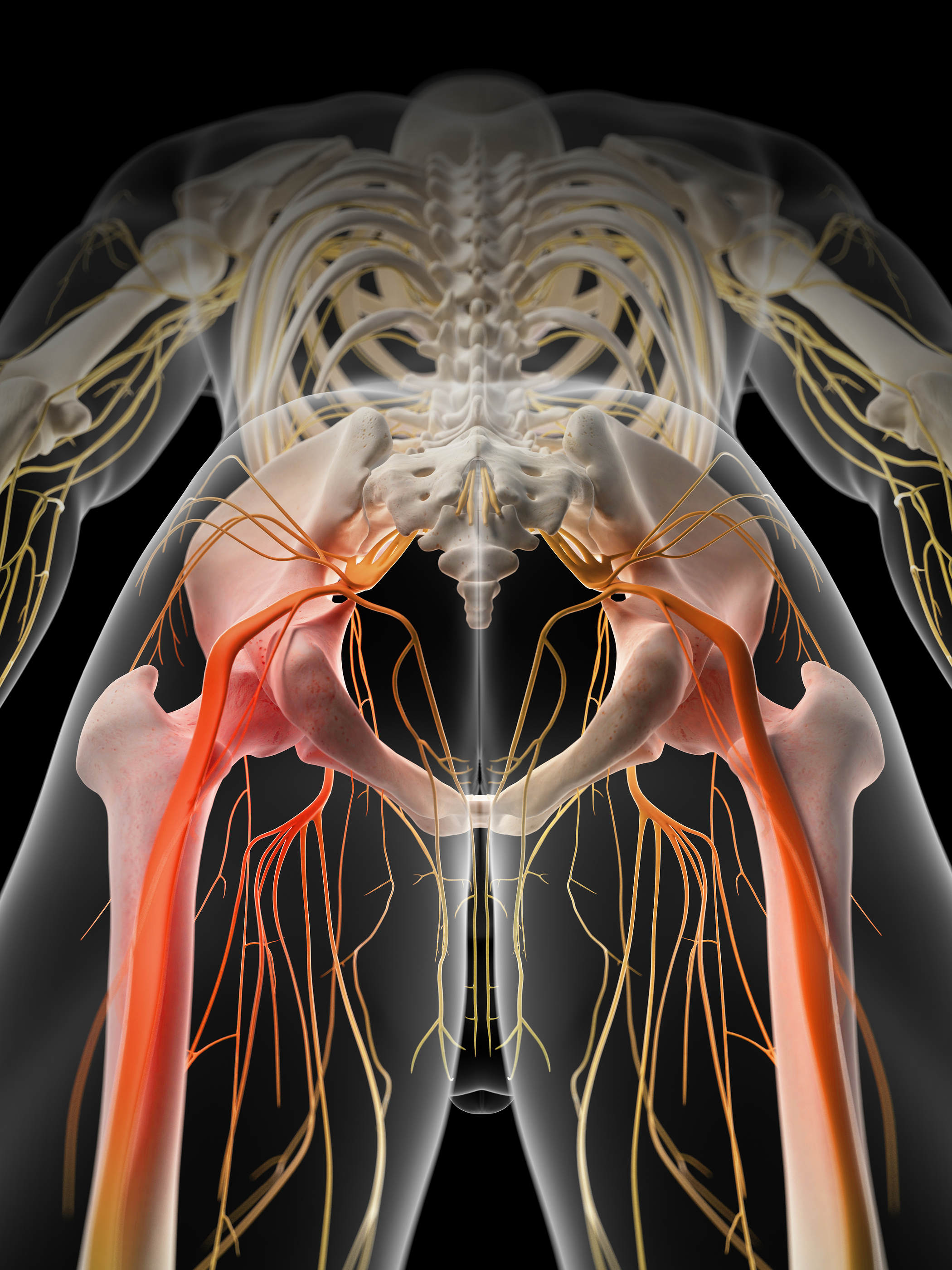 Courthouse Chiropractic - Sciatic Nerve Pain